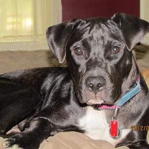 Meet your Posher, Sheryl